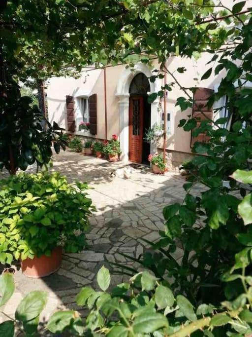 New Renovated Appartment Mauri Porec Bagian luar foto